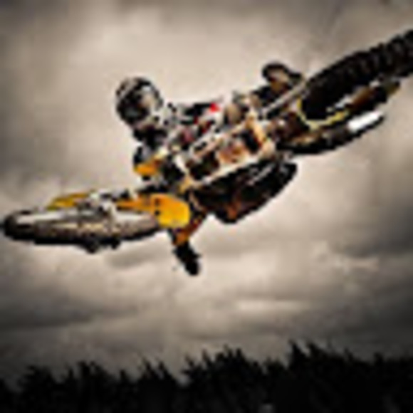 Meet your Posher, Koba - Picture 1 of 1